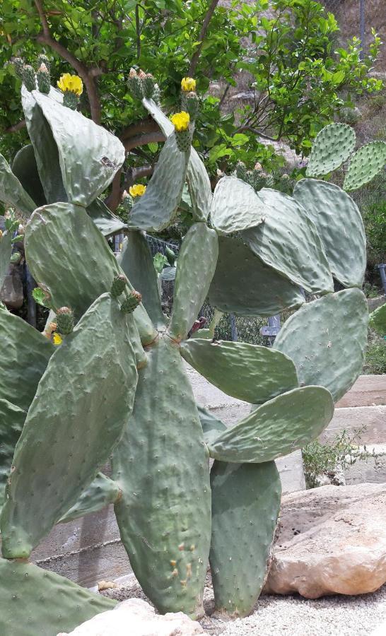 Cuocciu Ri Zuccuru Hotel Scicli Bagian luar foto
